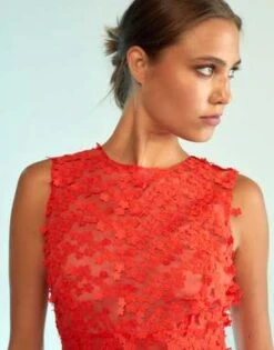 CYNTHIA ROWLEY3D Embroidered Tulle Dress -Cynthia Rowley Shop 3D Embroidered Tulle Dress 20230923002645 3