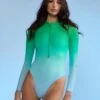 CYNTHIA ROWLEY Ombre Surfsuit