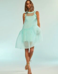 CYNTHIA ROWLEY Chloe Organza Dress